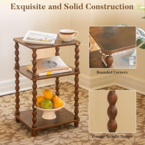 Side Table Small Storage Shelf Rustic Brown - Image 4